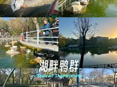 -莲湖公园