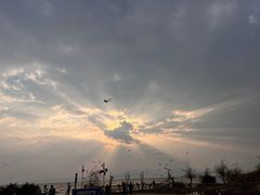 -呈贡滇池生态湿地公园