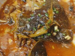 -洞庭家宴·头牌甲鱼(广渠门店)