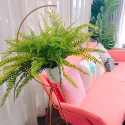 -汐月Health纤体spa中心