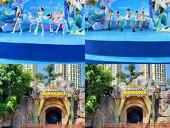 -海合安成都极地海洋公园