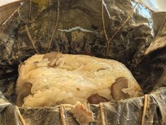 糯米鸡-榕江春·点心荟