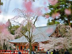 -醍醐寺