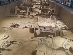 -洛阳周王城天子驾六博物馆