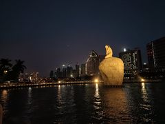 -白鹭洲公园