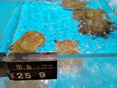 -艳阳天·非遗楚菜(武汉客厅店)