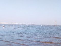 -南戴河国际娱乐中心