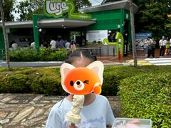 -圣淘沙天际线斜坡滑车
