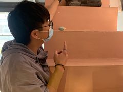-猫儿山۰猫主题餐厅
