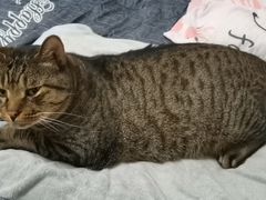 -爱侣宠医·鹦鹉专科·小型哺乳类·异宠专科(灵石路店)