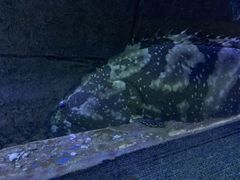 -厦门海底世界
