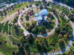 -铁山坪森林公园