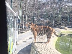 -栾川竹海野生动物园