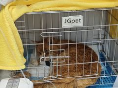 -拜鲁耶动物诊疗中心·宠家动物医院