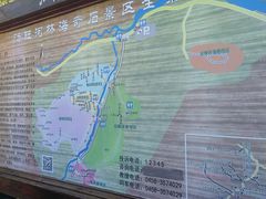 -汤旺河林海奇石景区