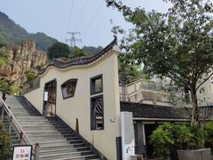 -老幺泉水鸡