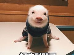 -蒋家桥饺面店(广陵路店)