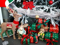 -奔驰利星行(北京花乡店)