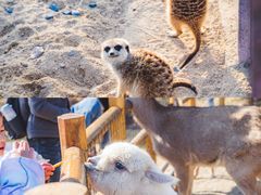 -茅山东方盐湖城景区