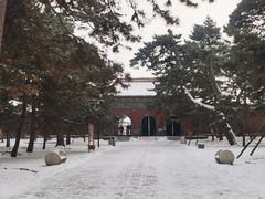 -沈阳市东陵公园