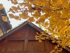 -无锡惠山寺