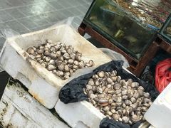 -芦潮港集贸市场