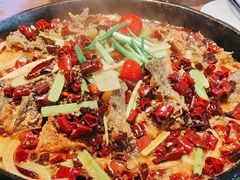 -老板恋上鱼(恒隆广场店)