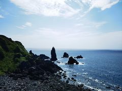 -涉地可支