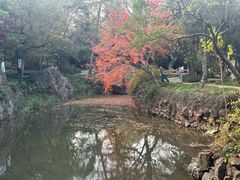 -狼山风景名胜区