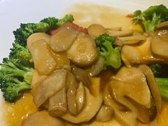 马蹄草菇兰花座-安多素食(广仁寺路店)