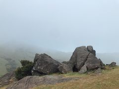 -大姆山草场