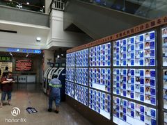 -上海市东方医院(总院)