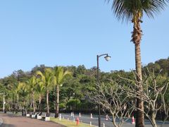 -野狸岛