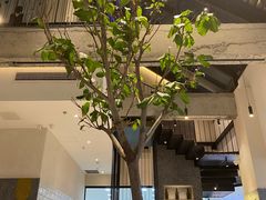 -大树餐厅(红旗街万达店)