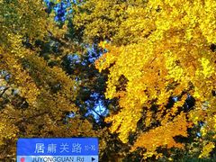 -八大关景区