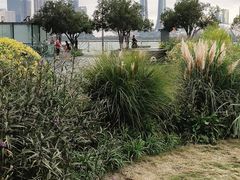 -城市阳台