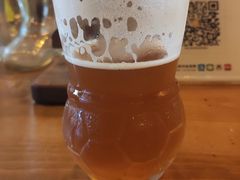 -雪梨精酿 Sydney Coast Brewing(沁春家园店)