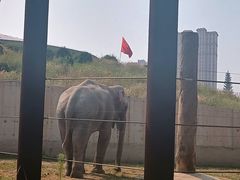 -太原动物园