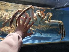 -徐记海鲜(大雁塔|金都店)