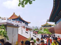 -曹州牡丹园