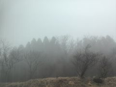 -阿苏山