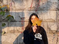 -八大关景区