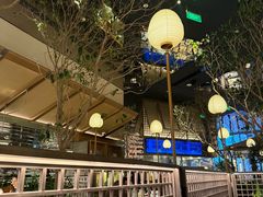 -桂满陇·海市蜃楼·黑金(国金店)