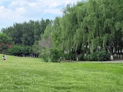 -长白岛森林公园