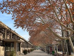 -秦始皇帝陵博物院(兵马俑)