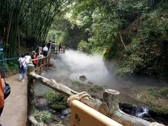 -川西竹海景区