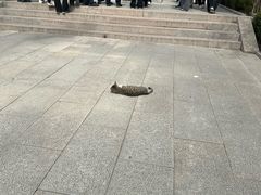 -青岛崂山太清宫