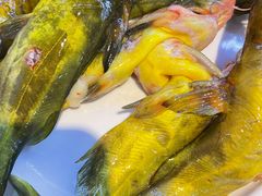 -苏格里岛自助海鲜烤肉(中州万达店)