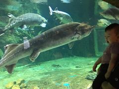 -华夏文旅海洋公园