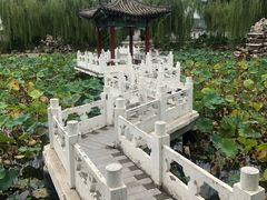 -纪晓岚文化园